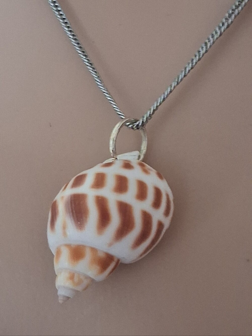 Silver Shell Pendant Necklace - White & Tan Shell